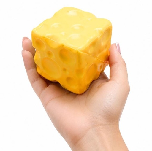 Squishy Cheese Cube