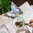 Magnifying Glass