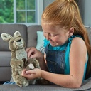 Cuddlekins Kangaroo