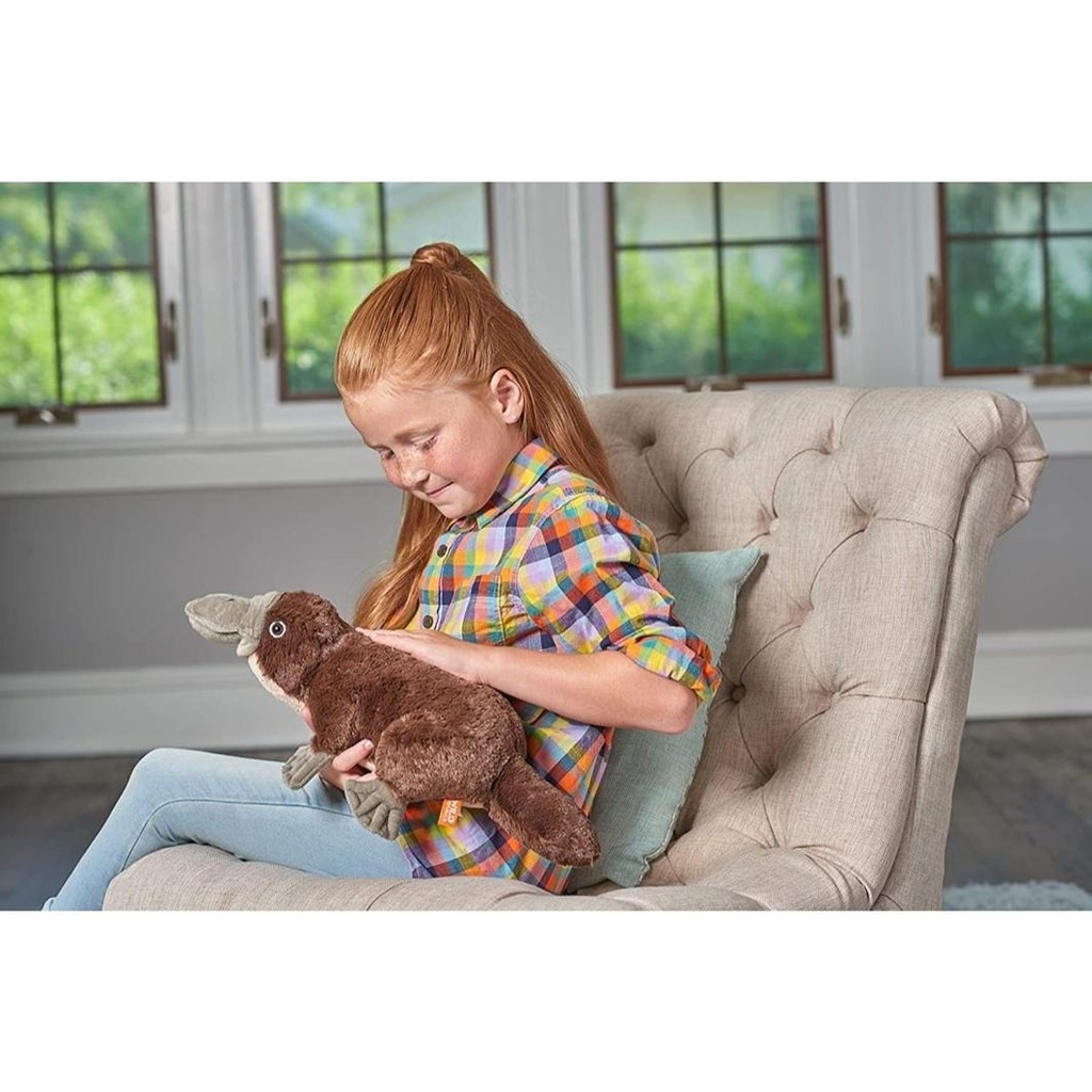Cuddlekins Platypus 12" - Plush