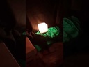 LED Colour Changing Light 4.5"