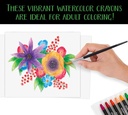 Crayola - Premium Watercolor Crayons