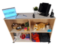 2 Shelf Storage Unit - Sign-In Desk