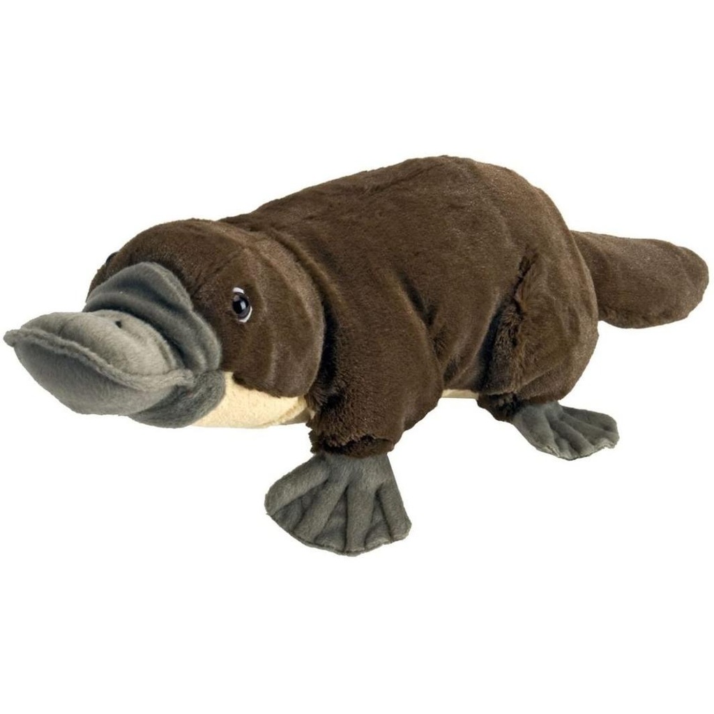 Cuddlekins Platypus 12" - Plush