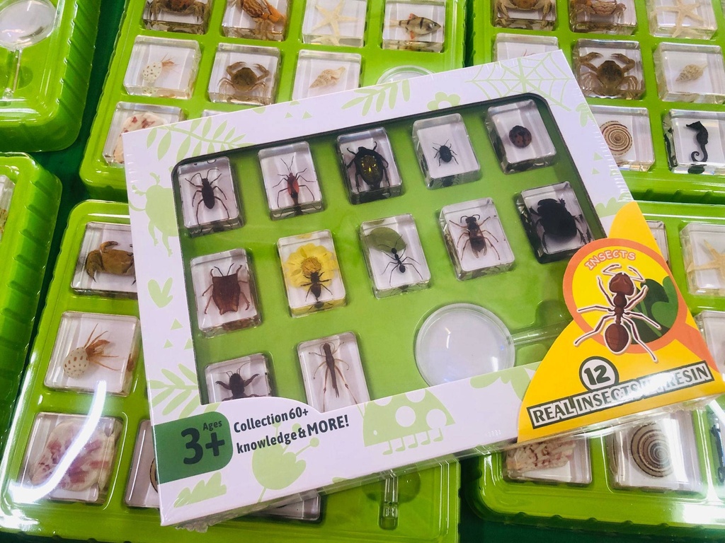 Resin Specimen Sets