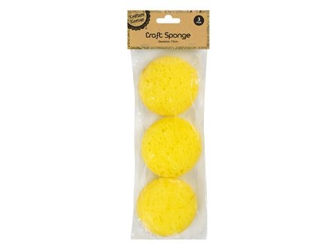 Craft Sponges - Pack of 3