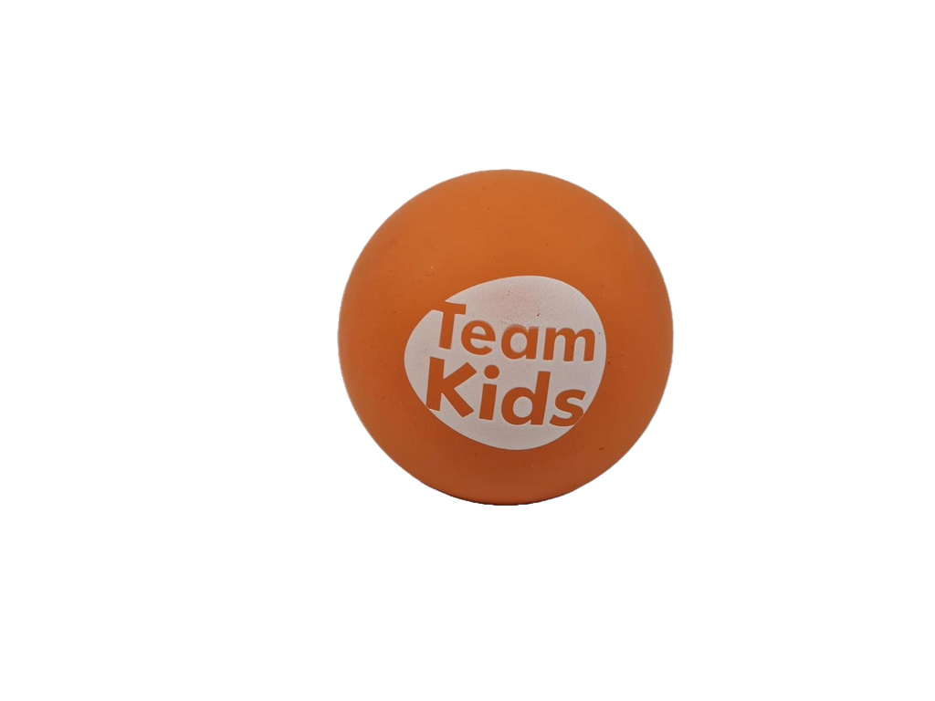 Hi Bounce Ball - TeamKids