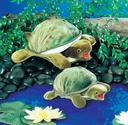 Adult Turtle - Hand Puppet