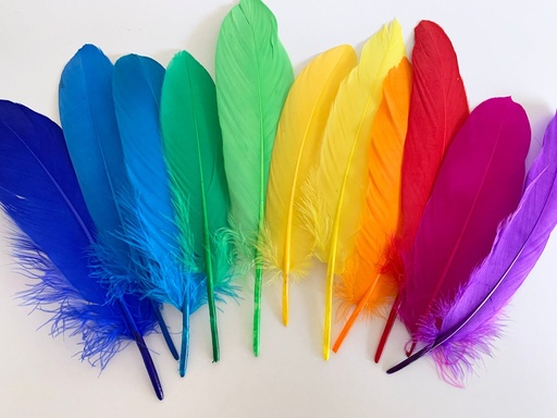 [TK-1274] Feathers - Assorted 50 pack