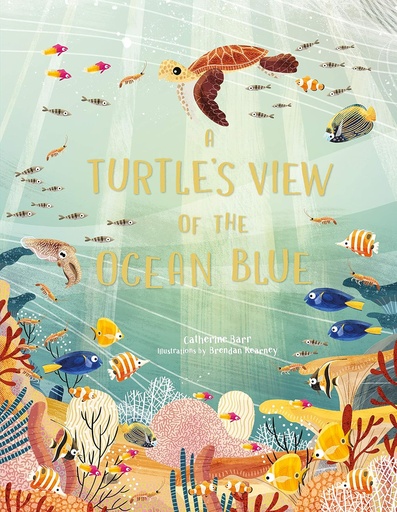 [TK-2887] A Turtle's View of the Ocean Blue